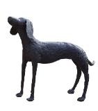 small seabird- bronze