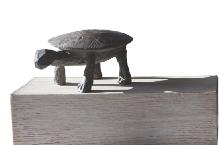 small seabird- bronze